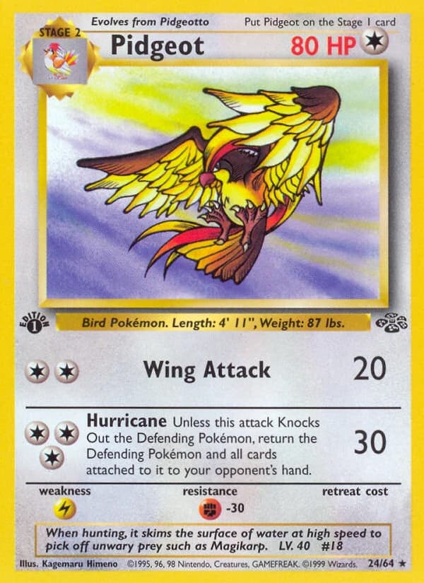 Pidgeot (24)