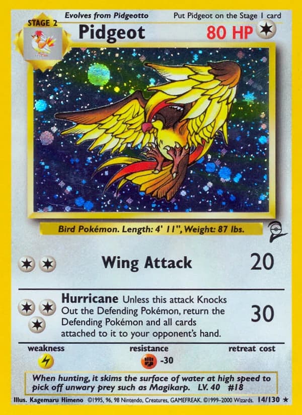 Pidgeot (14)
