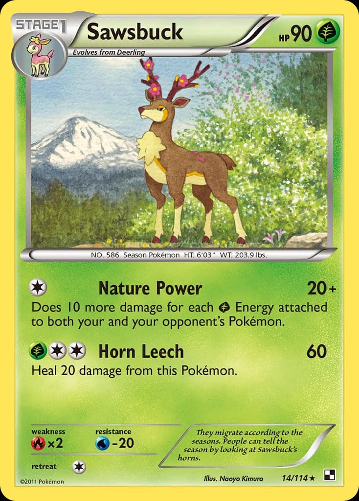 Sawsbuck (14)