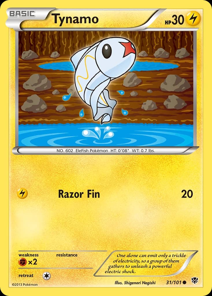 Tynamo (31)