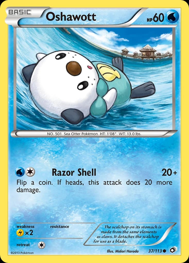 Oshawott (37)