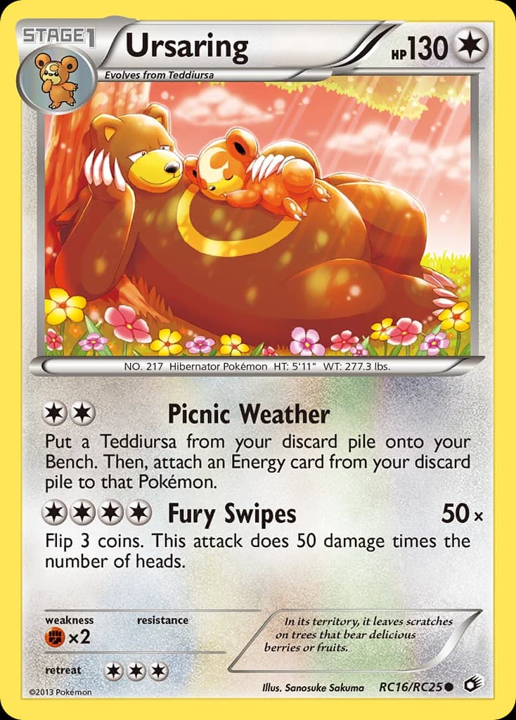 Ursaring (RC16)