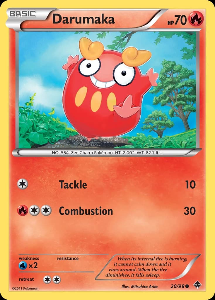 Darumaka (20)