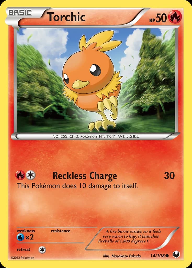 Torchic (14)
