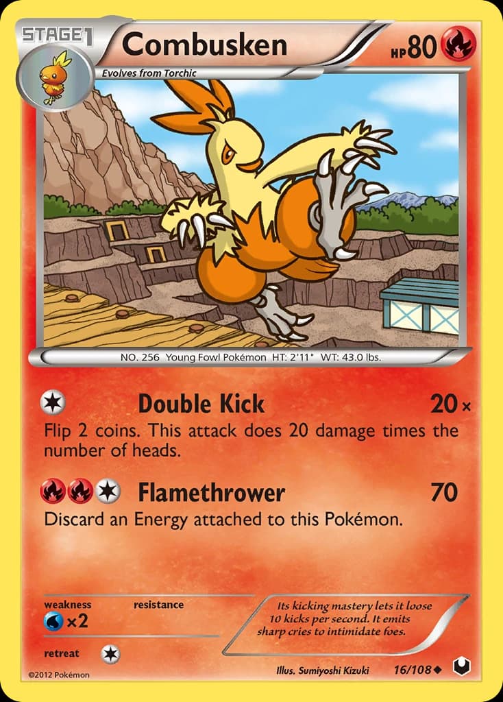 Combusken (16)