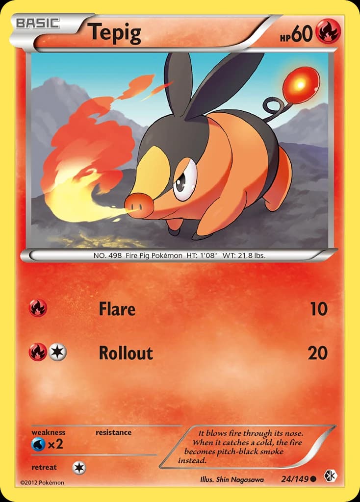 Tepig (24)