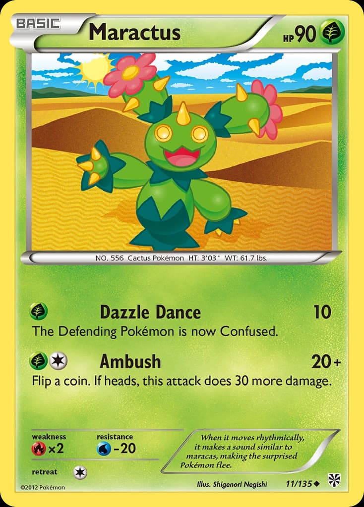 Maractus (11)