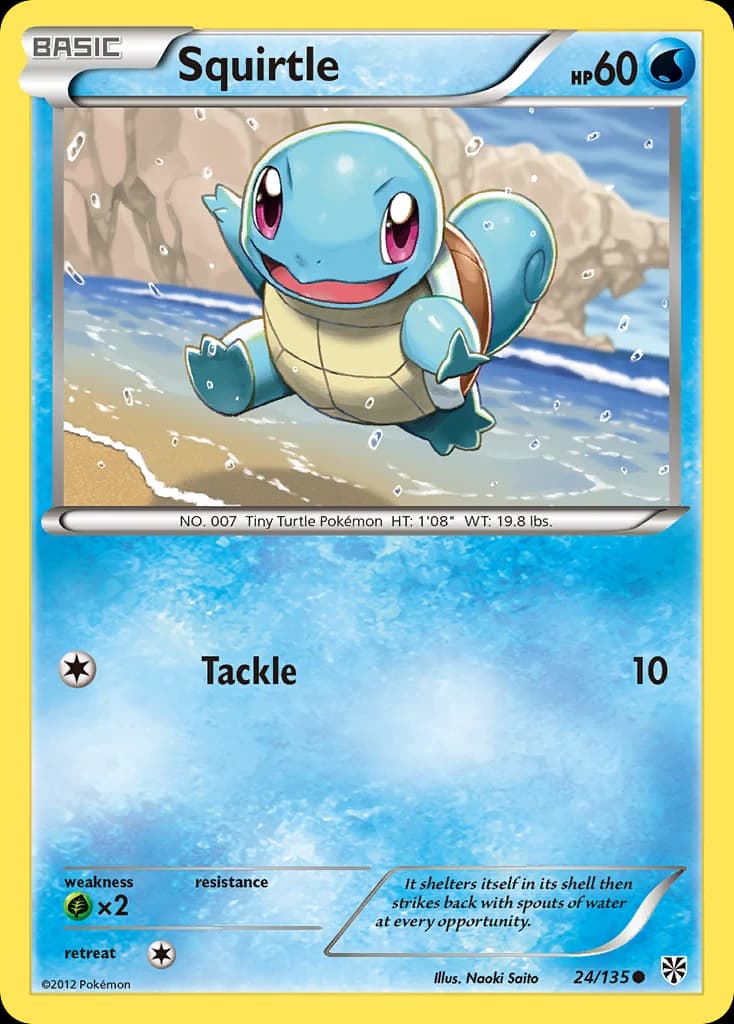 Squirtle (24)
