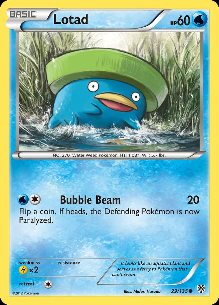 Lotad (29)