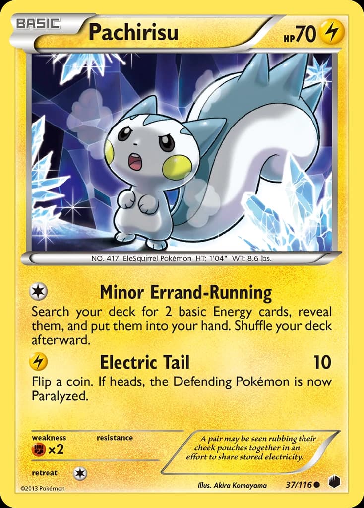 Pachirisu (37)