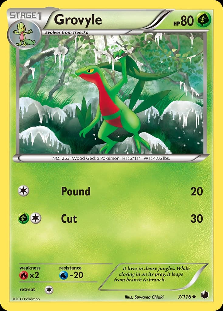 Grovyle (7)