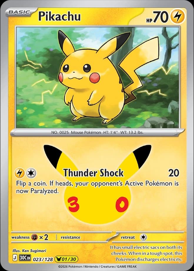 Pikachu (23)