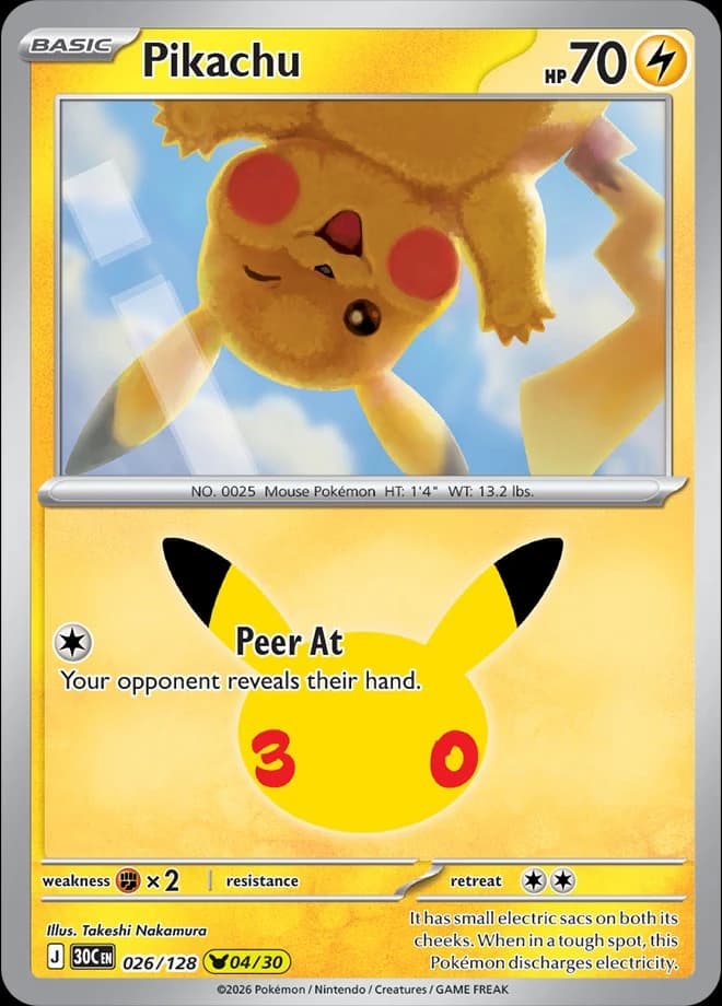 Pikachu (26)