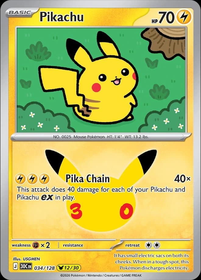 Pikachu (34)