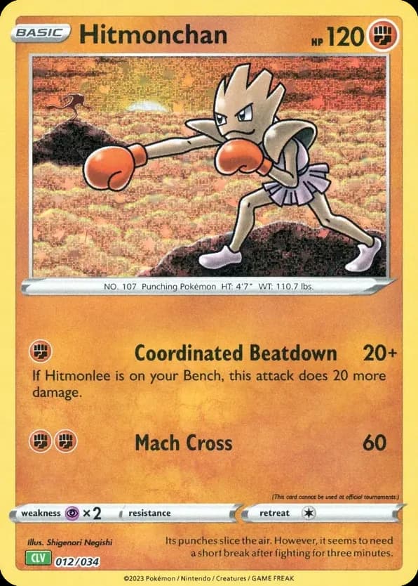 Hitmonchan (12)