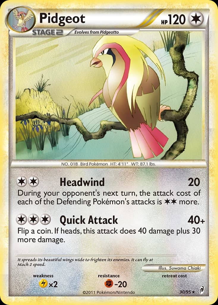 Pidgeot (30)