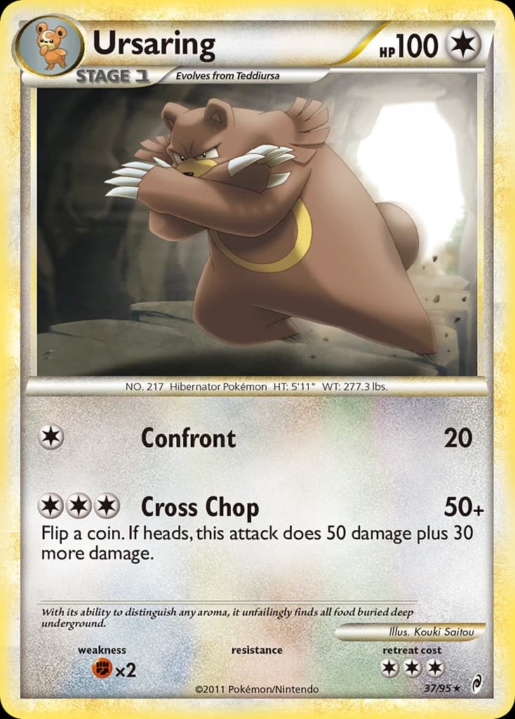 Ursaring (37)