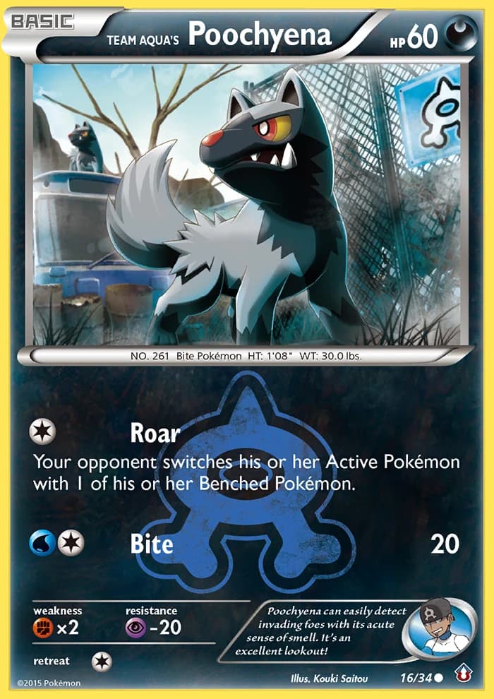 Team Aqua's Poochyena (16)