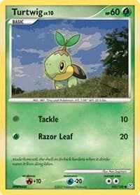 Turtwig (103)