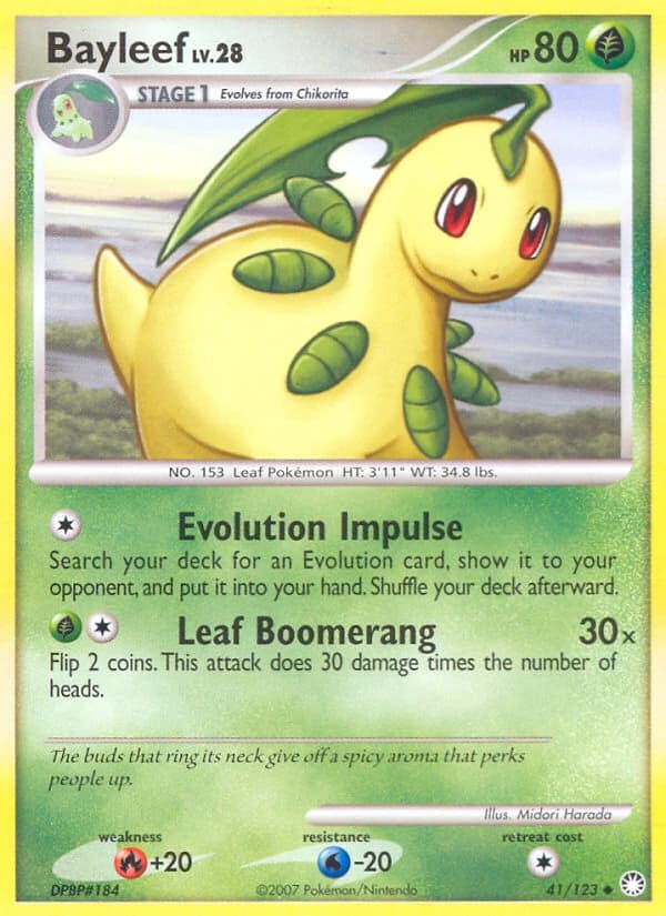 Bayleef (41)