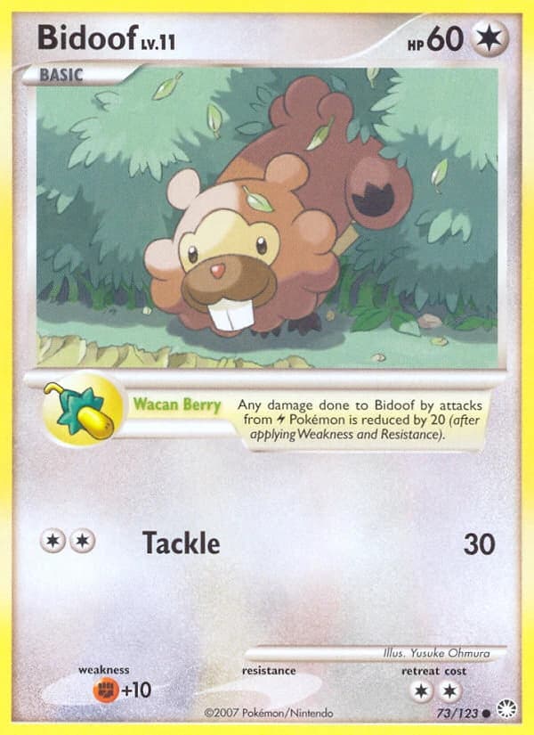 Bidoof (73)