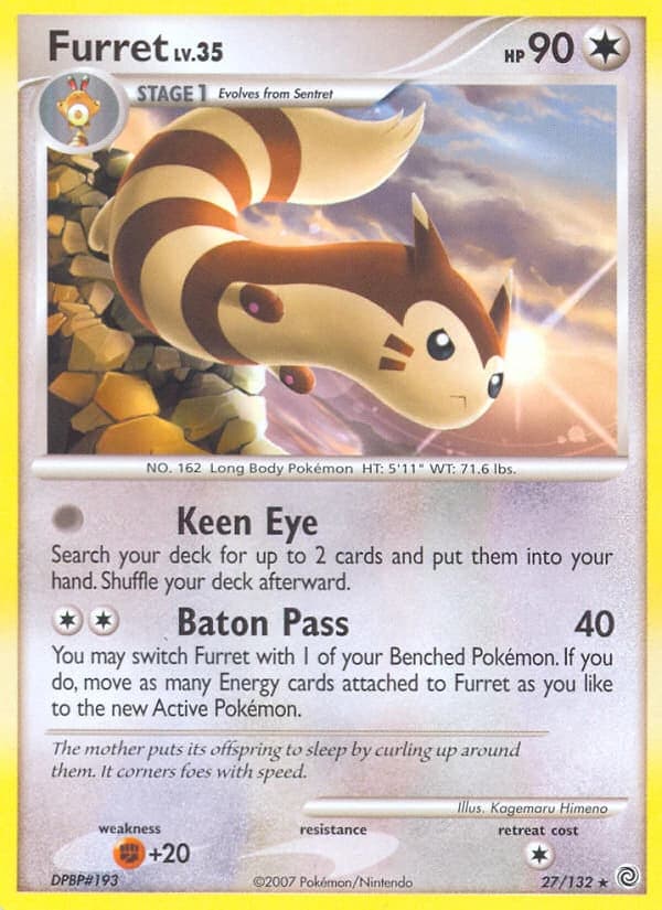 Furret (27)