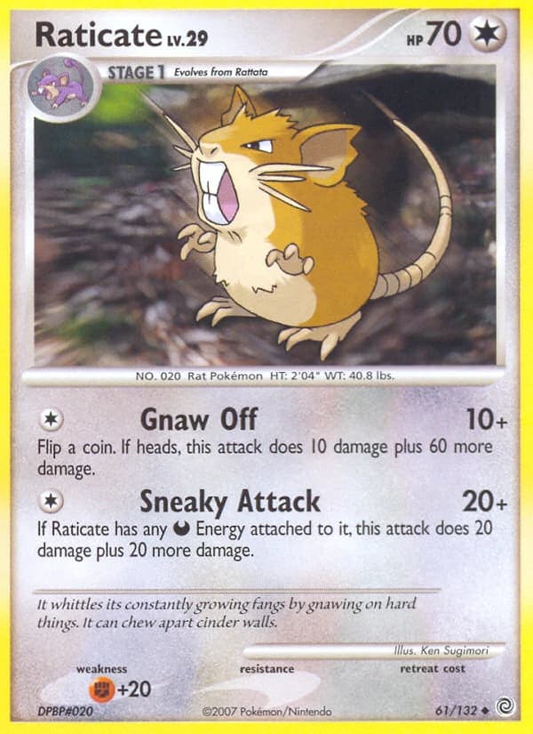 Raticate (61)