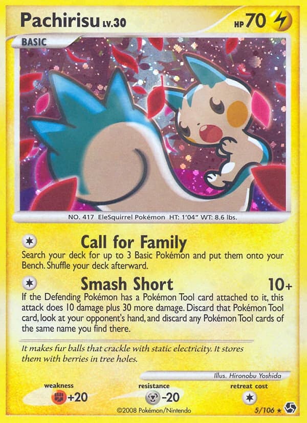 Pachirisu (5)