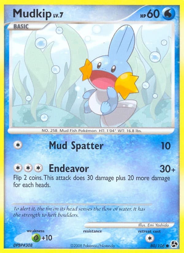 Mudkip (80)