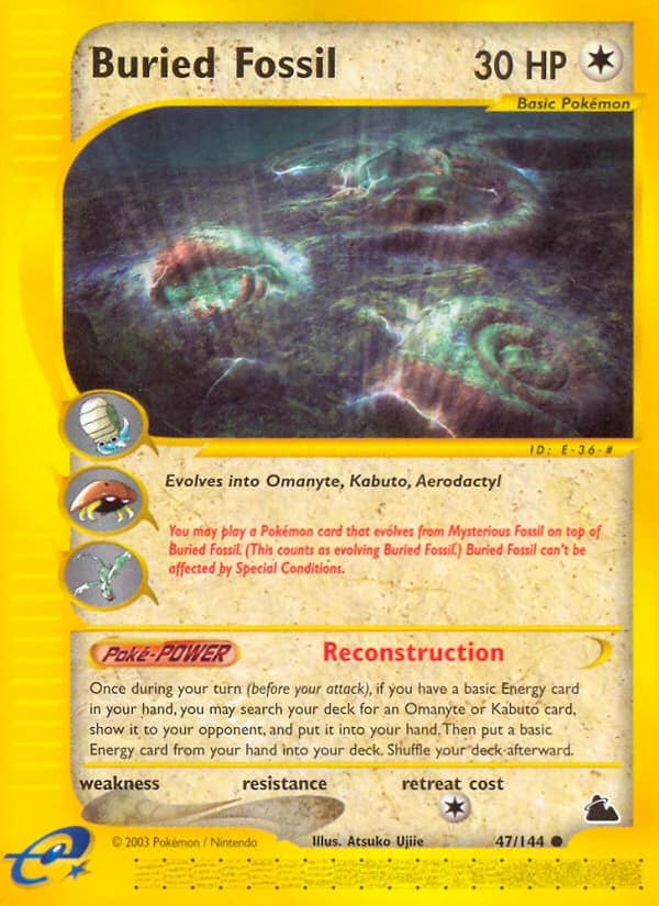 Buried Fossil (47)