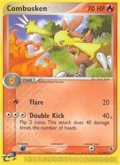 Combusken (27)