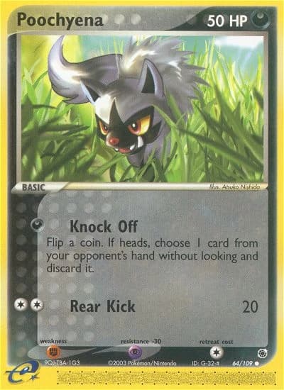Poochyena (64)
