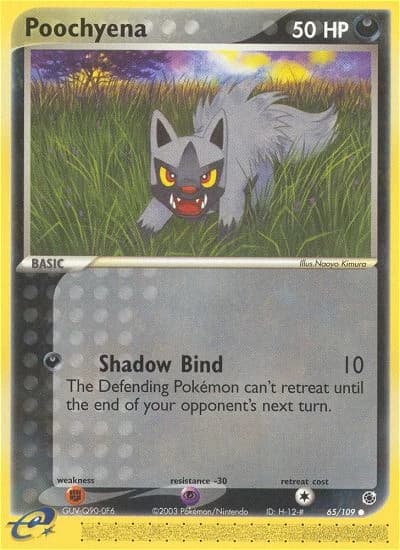 Poochyena (65)