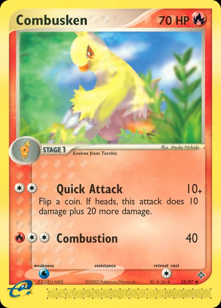 Combusken (25)