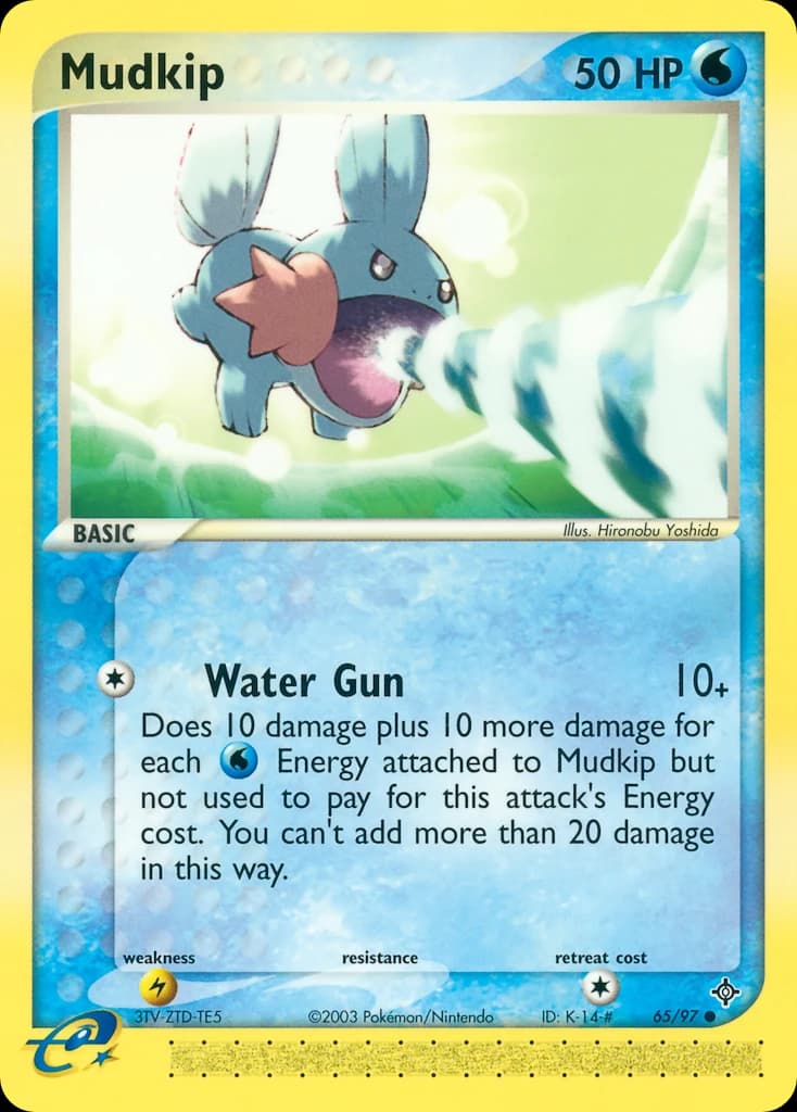 Mudkip (65)