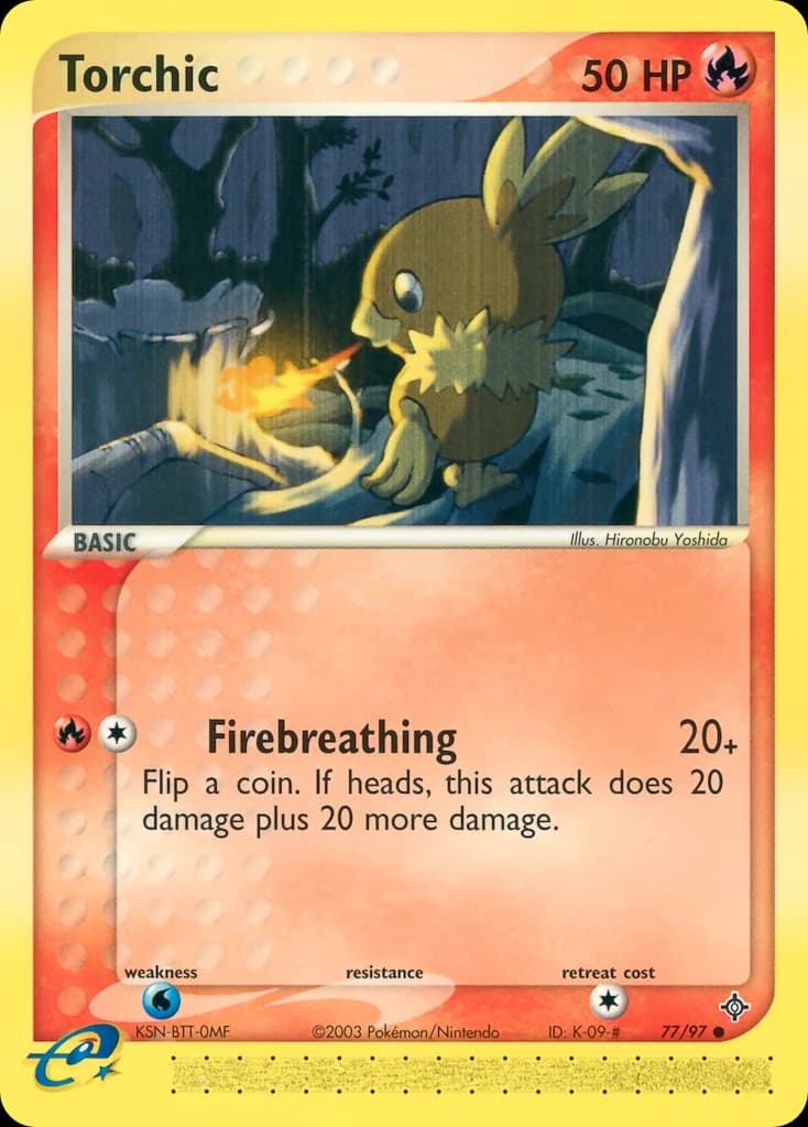 Torchic (77)