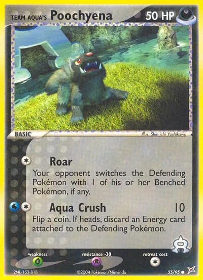 Team Aqua's Poochyena (55)