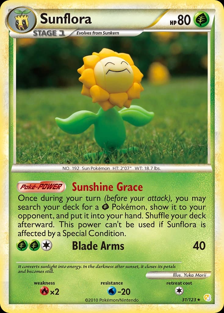 Sunflora (31)