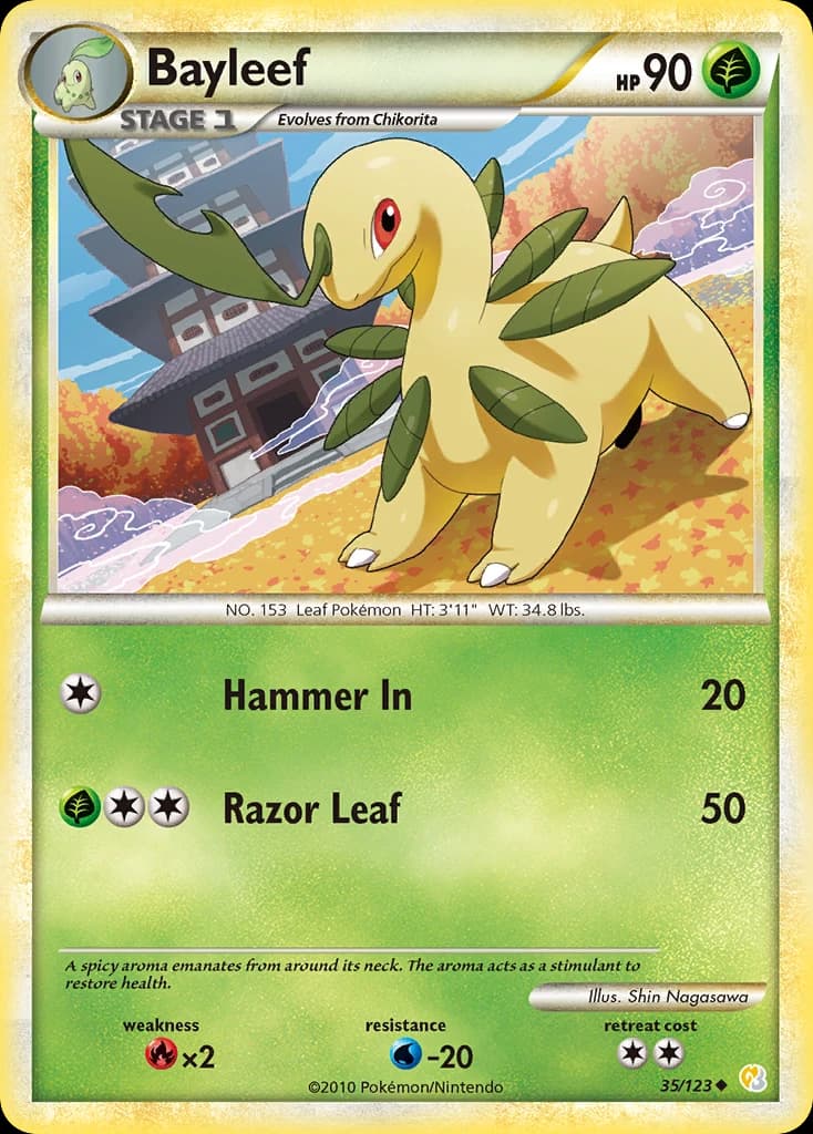 Bayleef (35)
