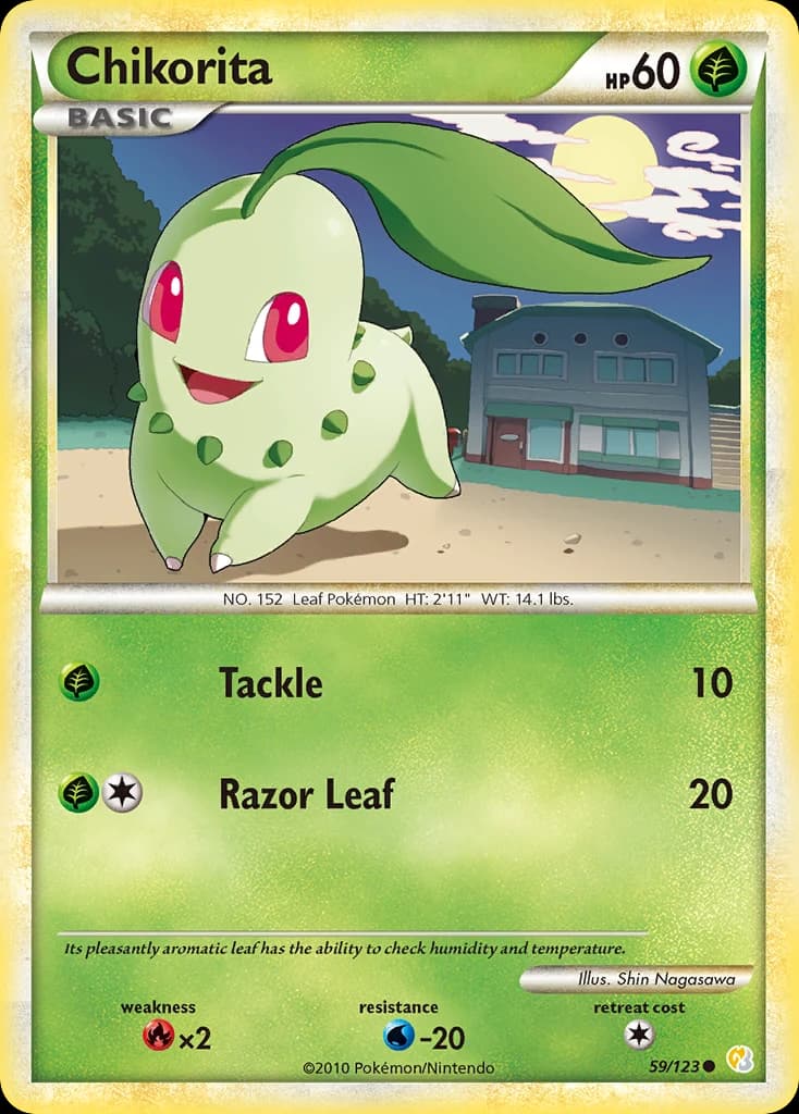 Chikorita (59)