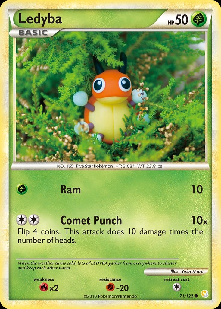 Ledyba (71)