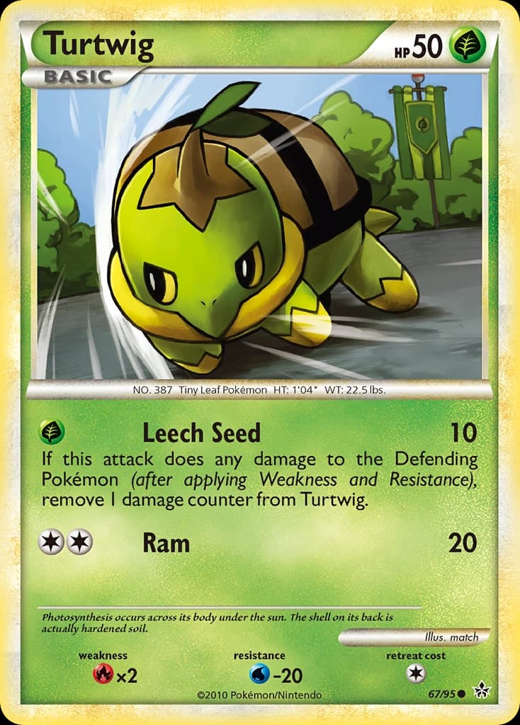 Turtwig (67)