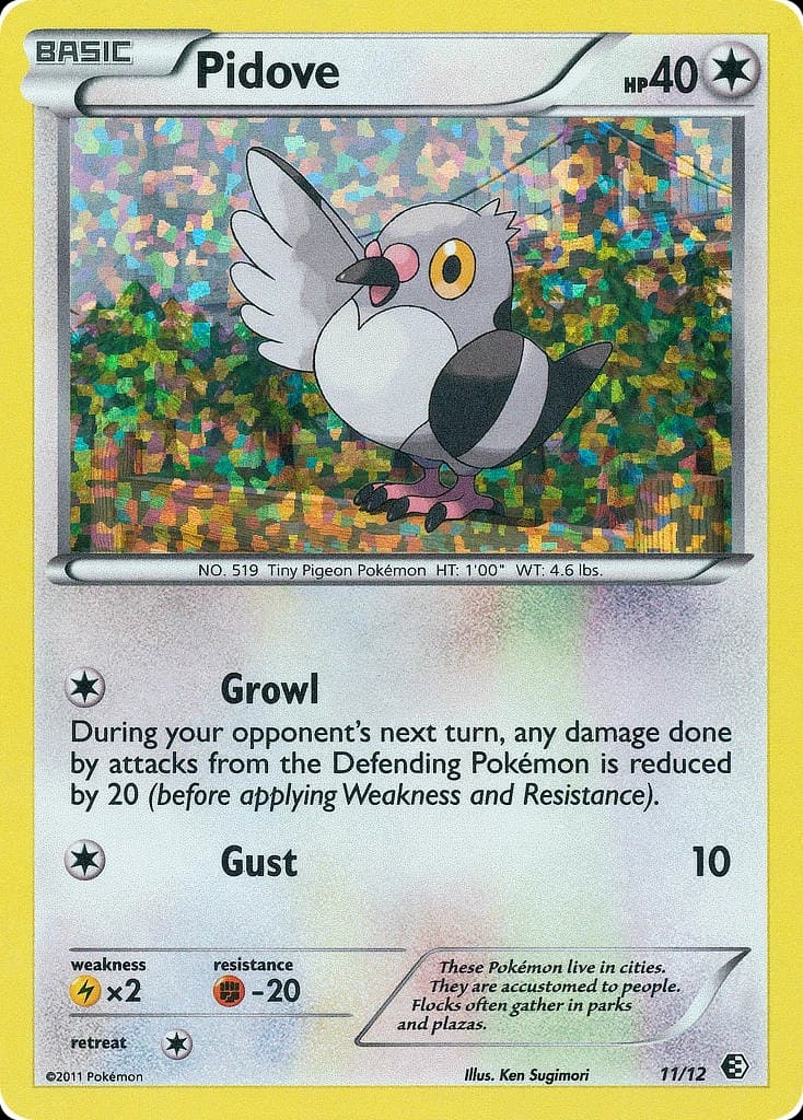 Pidove (11)