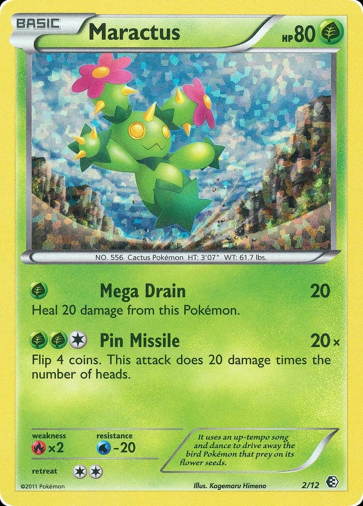 Maractus (2)