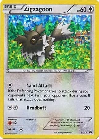 Zigzagoon (11)