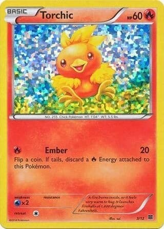 Torchic (3)