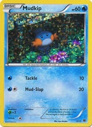 Mudkip (5)