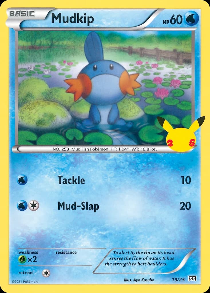 Mudkip (19)