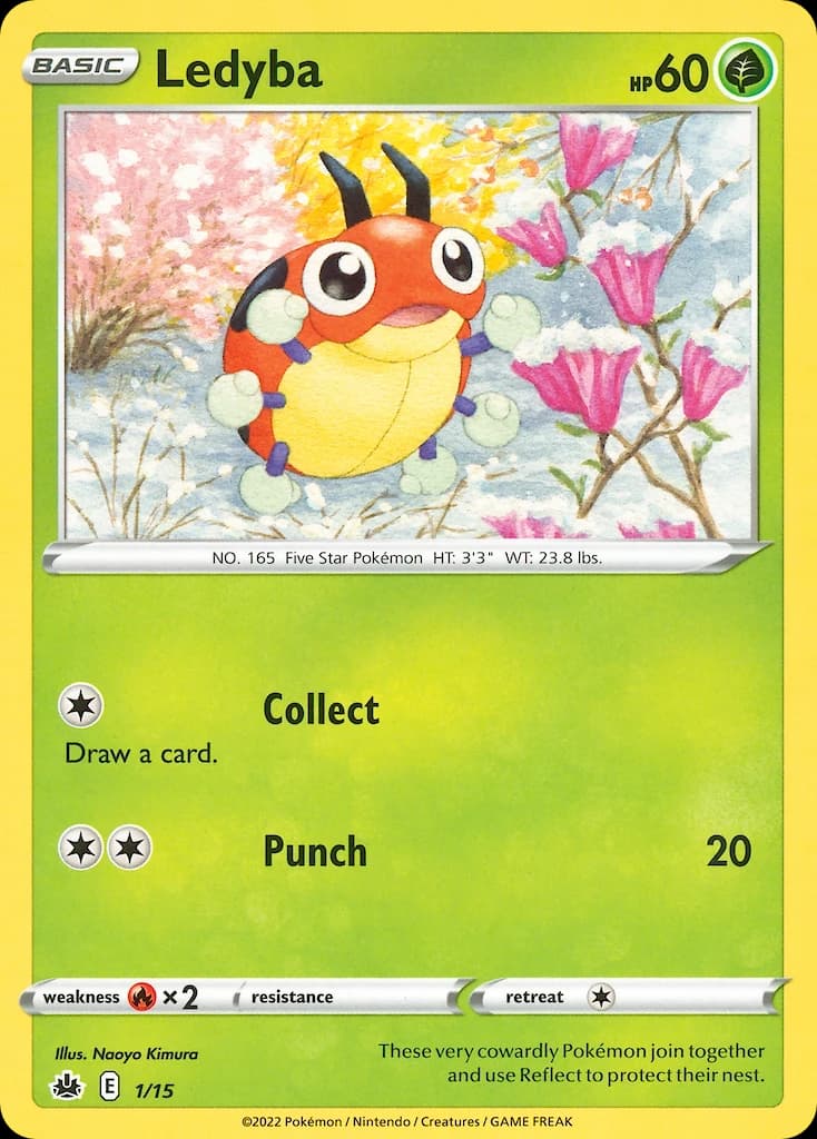 Ledyba (1)