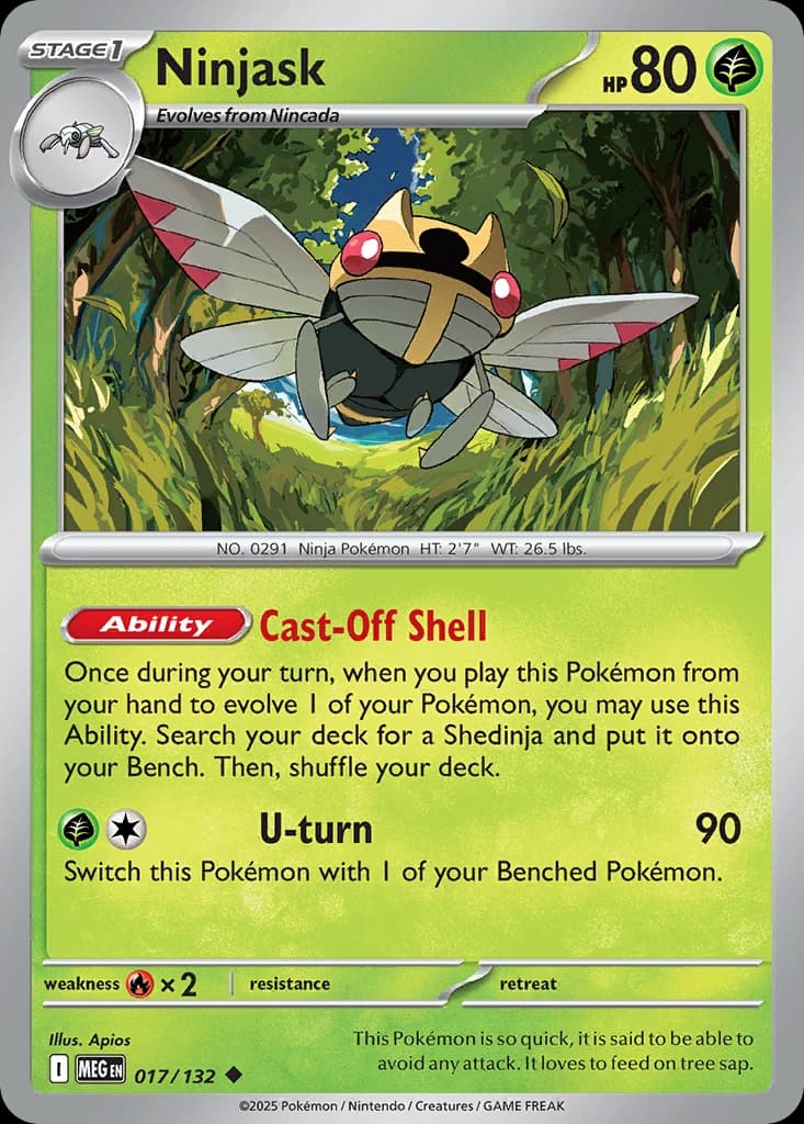 Ninjask (17)